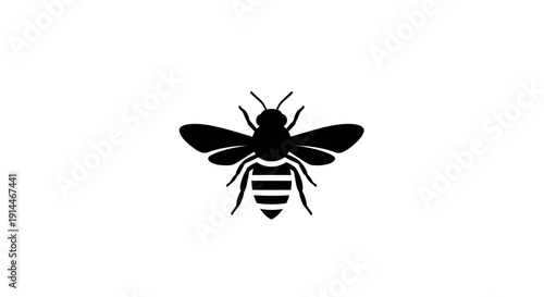 Close-up Silhouette of a Bee in Flight on White Background