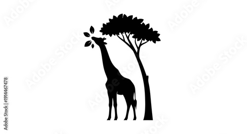 Silhouette of a Giraffe Standing Next to a Tree in Nature