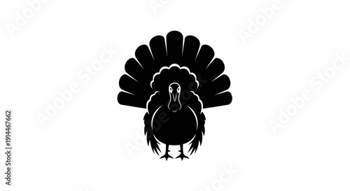 Silhouette of a Proud Rooster with Fanned Tail