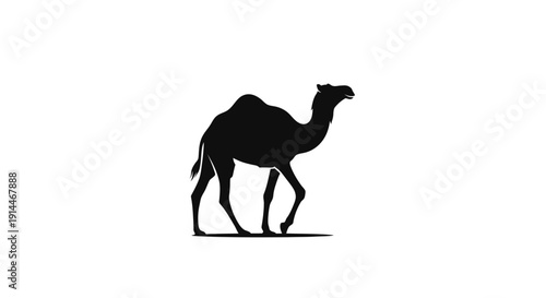 Silhouette of a Camels Walking in Desert Landscape