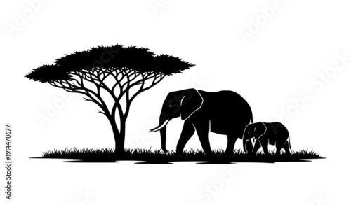Fototapeta African Safari Elephant Family Landscape Silhouette Vector