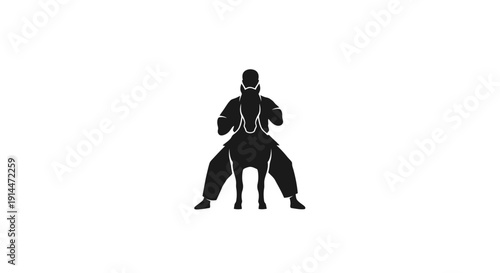 Silhouette of martial artist performing a high kick action pose