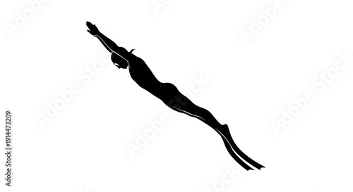 Silhouette of a Fish Swimming in Water