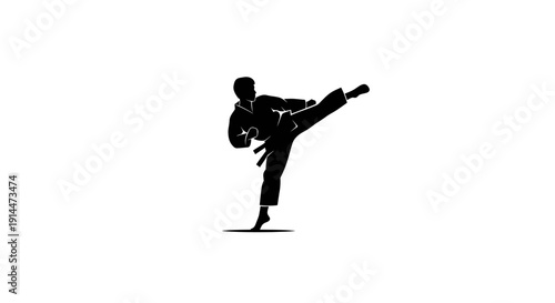 Skilled martial artist performing high kick in training