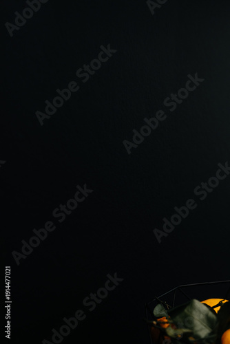 Modern luxury kitchen interior with beige cabinets and navy blue island.