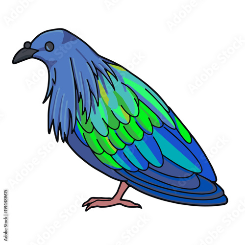 Nicobar pigeon vector illustration isolated on transparent background