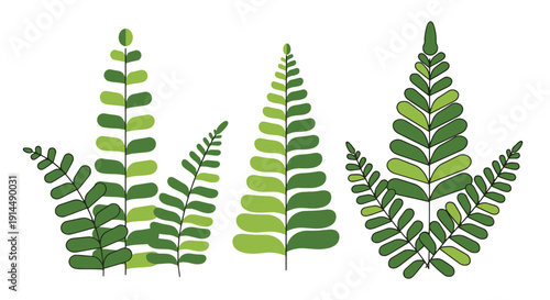 Bilde på lerret Fern Garden Line art modern smooth abstract vector