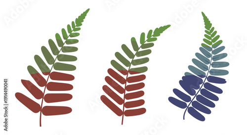 Fern Leaf Line art soft tone vector illustration