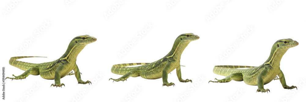 Obraz premium Tree Monitor (Varanus prasinus) Isolated on White Background, Full Body Arboreal New Guinea Monitor Lizard Standing on White Floor, Exotic Reptile Cutout, Wildlife Stock Photo Image