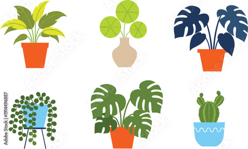 Collection of indoor houseplants in pots, modern flat vector illustration set, home decor greenery icons, botanical plant design elements