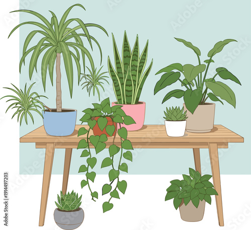 Indoor houseplants collection on wooden table, home decor botanical plants, modern interior greenery, potted plants flat vector illustration design