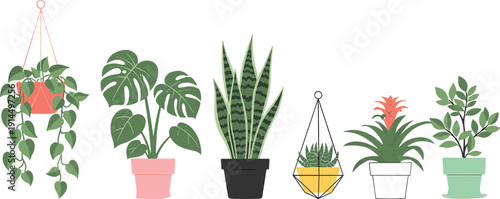 Indoor tropical houseplants collection illustration, hanging and potted plants vector set, monstera snake plant bromeliad foliage, modern botanical decor design