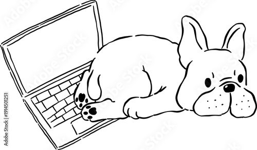 Sploot french bulldog WFH Outline on laptop hand drawn frenchie derp dog 