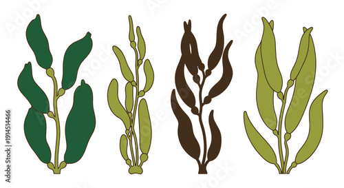 Giant Kelp Line art creative abstract style vector
