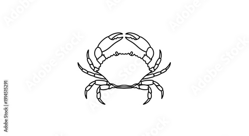 Minimalist Black and White Illustration of a Crabby Creature for Design
