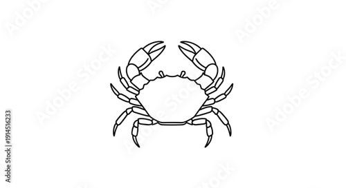 Minimalist Line Drawing of a Crab Illustration for Nature and Marine Life Themes