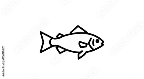 Simple Line Drawing of Fish for Marine Life Illustration or Educational Purposes