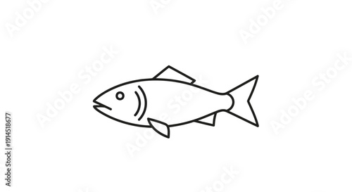 Simple Line Drawing of Fish for Seafood or Marine Life Illustration