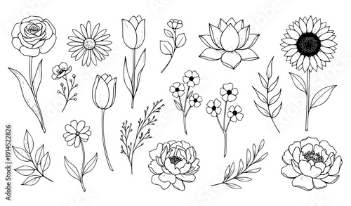 Hand-drawn flower doodle set vector floral botanical illustration isolated on transparent background