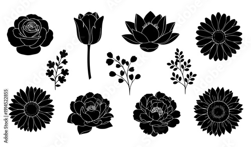 Flower silhouette set vector black floral botanical elements isolated on transparent background