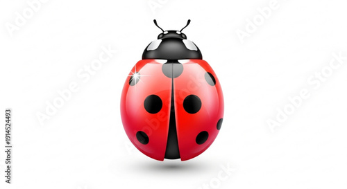 Red ladybug insect with black spots on white background