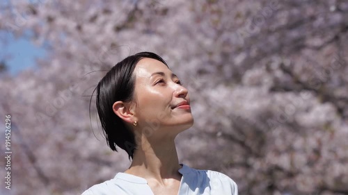満開の桜と女性　桜吹雪　スローモーション