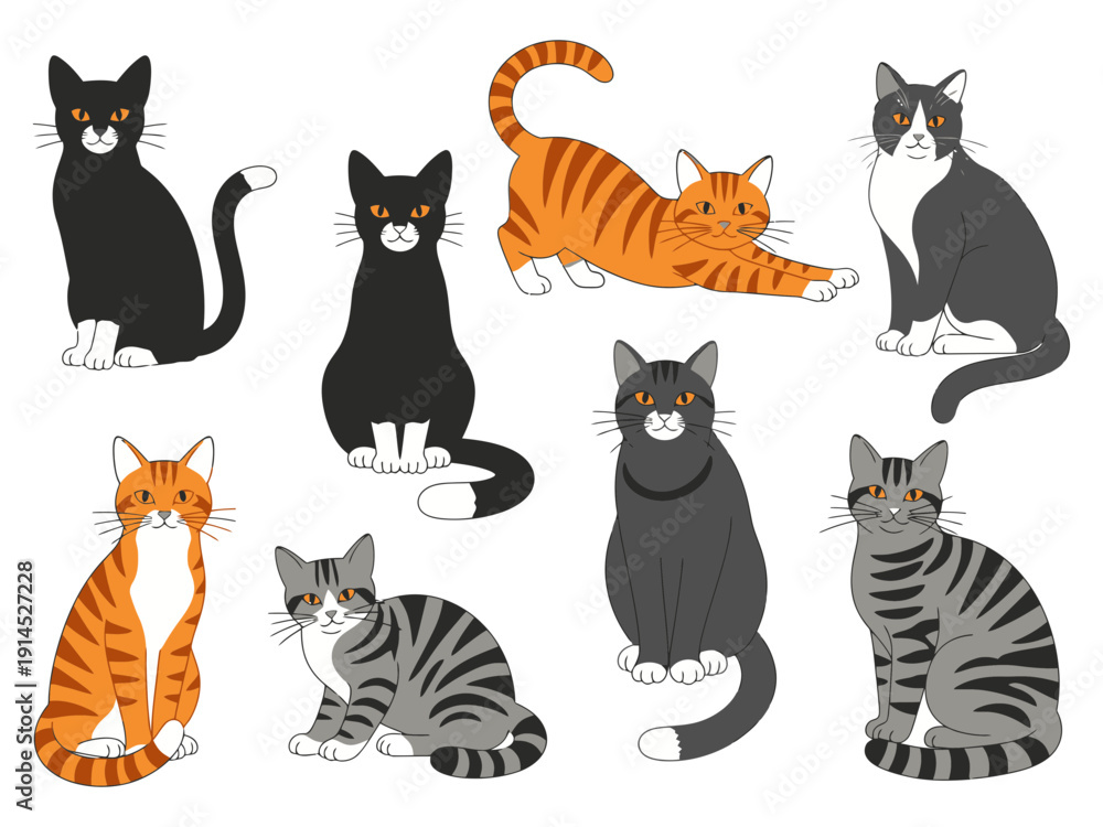 Fototapeta premium Set of cut cat vector illustation