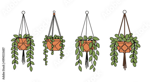 Hanging Plant Line minimal abstract concept illustration
