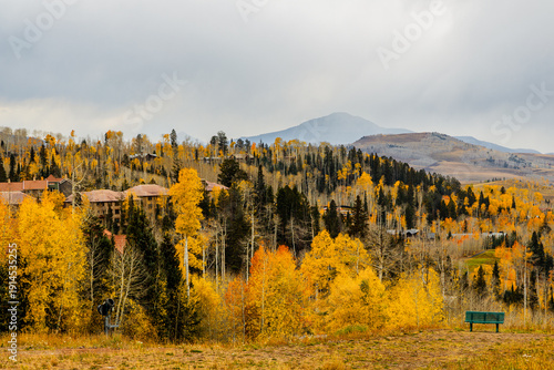 Fotografie A hillside covered in golden aspens and scattered mountain cabins glows under a cloudy autumn sky in Telluride, Colorado
