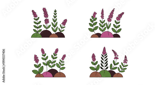 Herbal Garden Line soft elegant color illustration