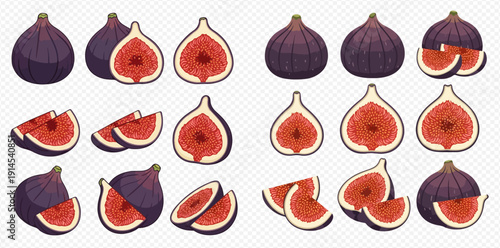 Set of fresh fig fruit illustrations, whole and sliced, showcasing vibrant purple skin and red pulp with seeds.