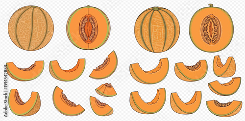 Set of fresh cantaloupe and honeydew melons, whole and sliced, with seeds, isolated on white background. Healthy fruit collection.