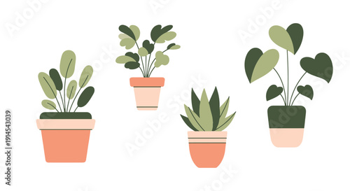 Indoor Plant Line abstract clean tone illustration