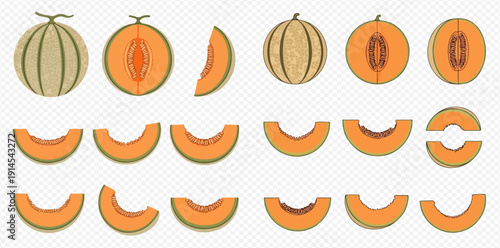 Cantaloupe melon whole, half, and sliced pieces vector illustration set on transparent background.