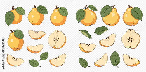 Set of fresh yellow pears with green leaves, whole and sliced, on a transparent background, vector illustration.