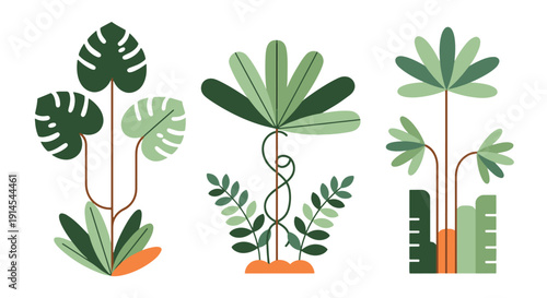 Jungle Plants Line creative soft tone vector