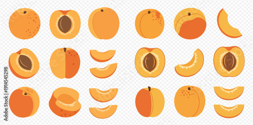 Collection of fresh apricot fruits whole, half, and sliced in various forms.
