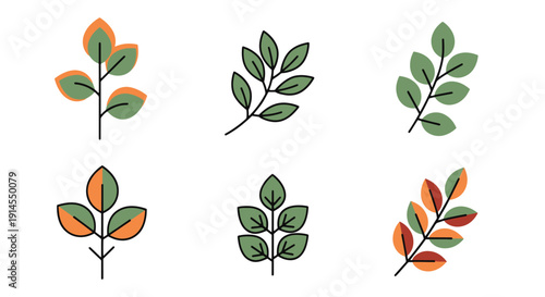 Leaf Branch Line art clean elegant color illustration