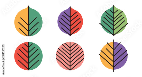 Leaf Vein Line art color filled modern design contemporary vector