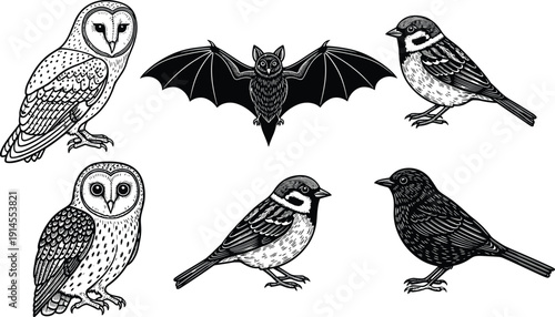 Black and white vector set of owls bat and small birds isolated on white background wildlife animal silhouettes for nature design projects
