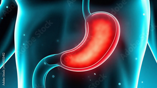 Vivid 3D medical illustration highlighting the human stomach, an integral organ of the digestive system, with a focus on its internal anatomy and physiological function in health and disease