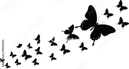 Vector, Illustration, Set, of, Butterfly, Silhouettes, Flying, in, Swarm, for, Nature, Spring, Summer, Decoration, Identity, Branding, and, Professional, Graphic, Design, Projects, Art