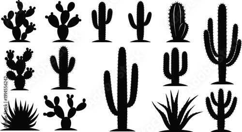 Vector, set, of, black, silhouettes, featuring, various, cactus, and, desert, succulent, plants, for, southwestern, nature, landscape, botanical, garden, and, wild, west, designs