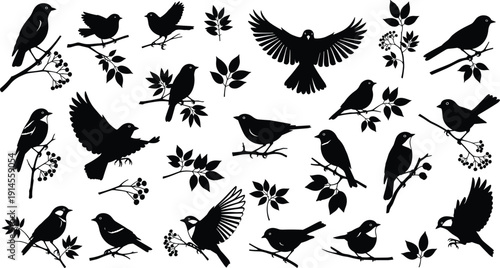 Bird silhouettes with branches, leaves, flowers, perched and flying poses, artistic nature composition, botanical vector illustration design