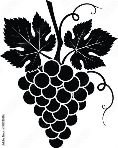 Black and white grape vine vector illustration, stylized bunch of grapes with decorative leaves and tendrils, ornamental artwork for design