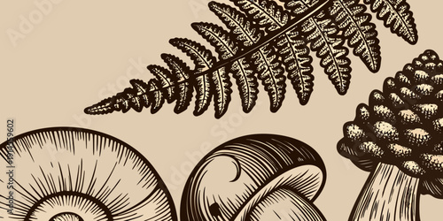 Detailed botanical illustration featuring ferns mushrooms and a pinecone