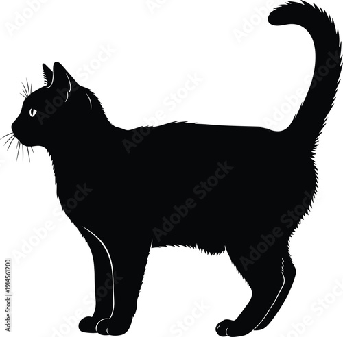 Black cat silhouette vector illustration, feline animal design, alert posture art, curved tail profile, superstition folklore symbol graphic
