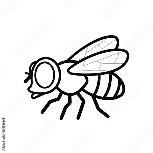 Black and white line drawing of a fly with large eyes and wings