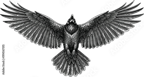 Detailed bird in flight illustration, black and white vector drawing, ornate feather patterns, symmetrical wings spread design, decorative ornithology artwork