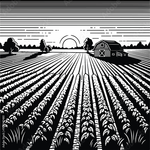 Rural landscape with a barn and rows of crops at sunset